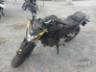 2024 HONDA CB 300F 