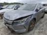 2025 BYD KING 
