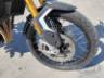 2024 TRIUMPH TIGER 