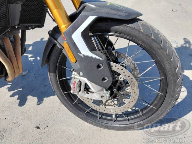 2024 TRIUMPH TIGER 