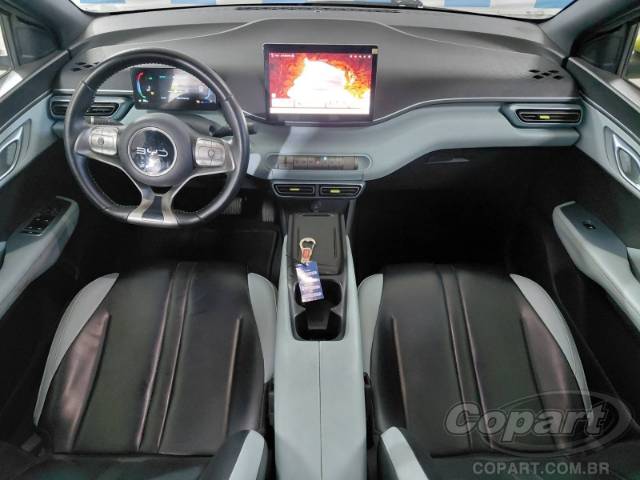 2025 BYD DOLPHIN MINI 