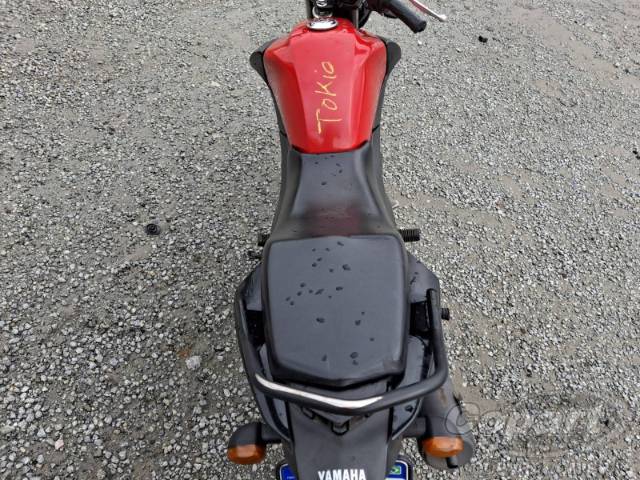 2023 YAMAHA YBR 125I FACTOR 