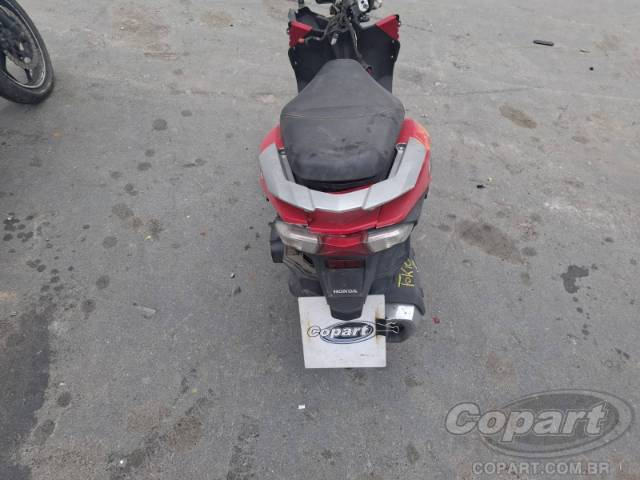 2019 HONDA ELITE 