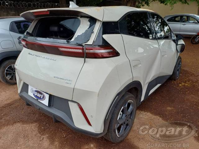 2025 BYD DOLPHIN MINI 