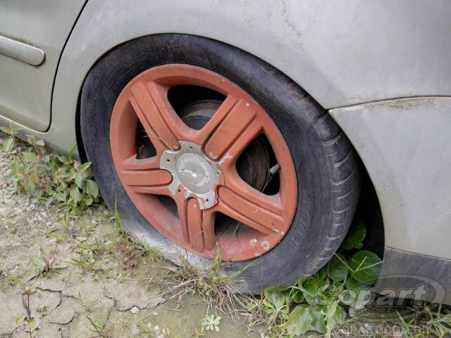 2009 VOLKSWAGEN SPACEFOX 
