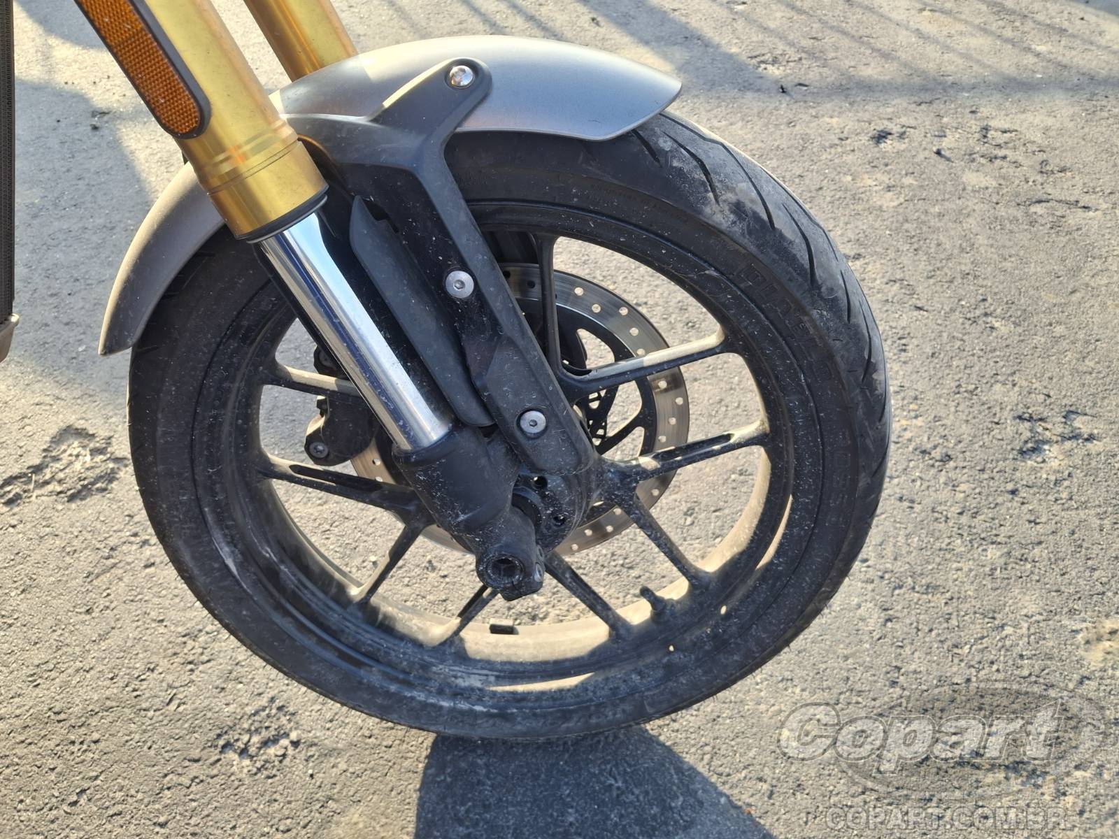 Foto 8 de 10: 2025 TRIUMPH SPEED
