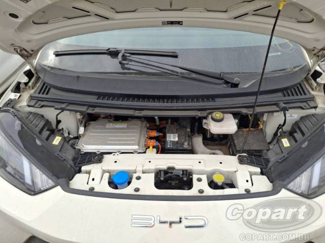 2024 BYD DOLPHIN MINI 