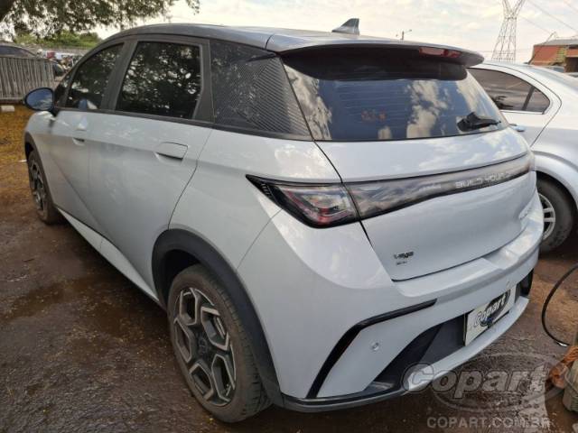 2024 BYD DOLPHIN 