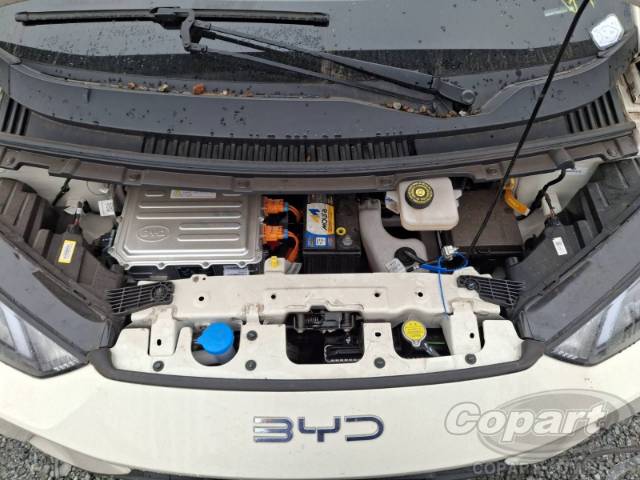 2025 BYD DOLPHIN MINI 