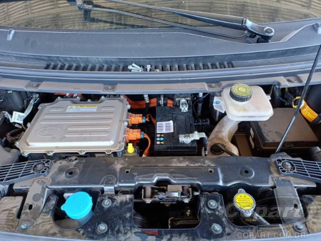 2025 BYD DOLPHIN MINI 