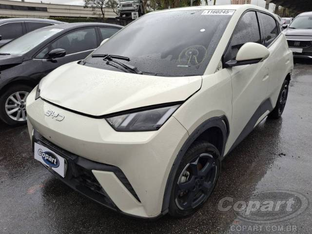 2025 BYD DOLPHIN MINI 