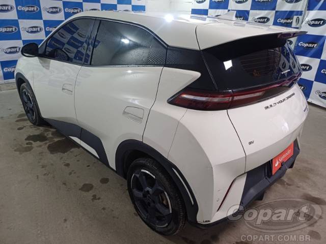 2025 BYD DOLPHIN MINI 