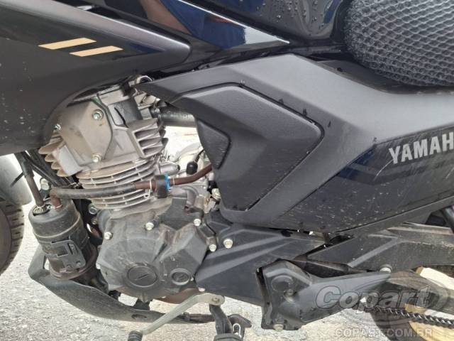 2025 YAMAHA FACTOR 