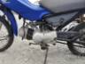 2007 HONDA POP 100 