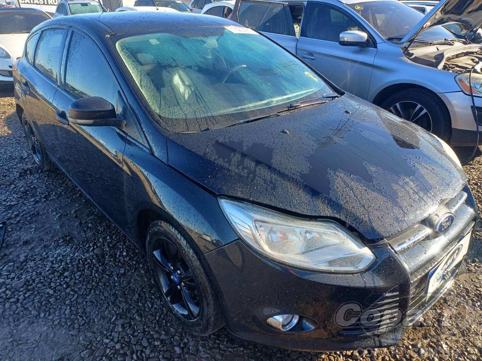 FORD FOCUS 2014