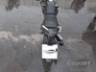2024 SHINERAY XY 150 