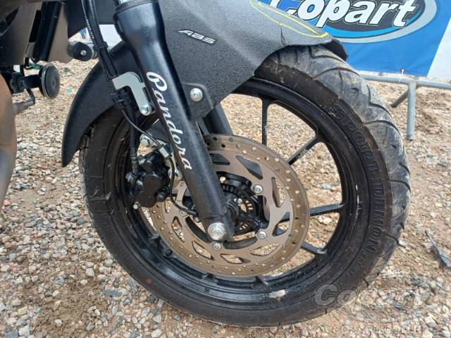 2024 YAMAHA FZ25 FAZER 