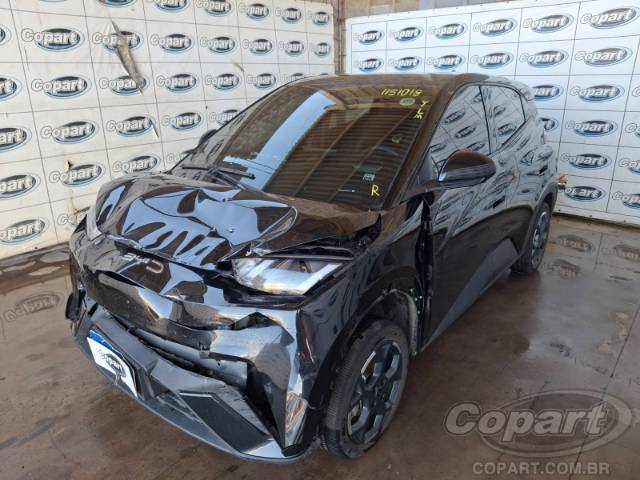 2026 BYD DOLPHIN MINI 
