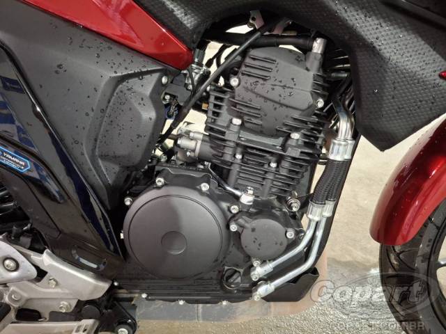 2025 YAMAHA FZ25 FAZER 