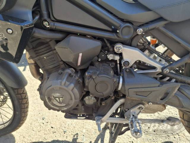 2024 TRIUMPH TIGER 