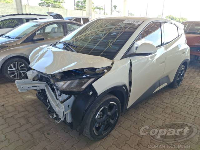 2025 BYD DOLPHIN MINI 