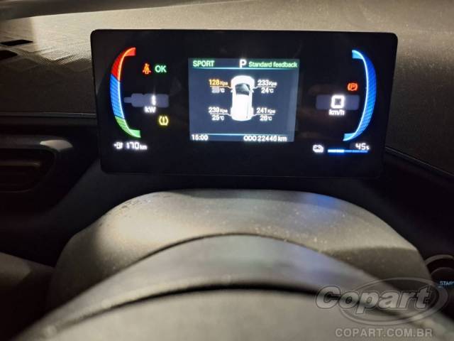 2025 BYD DOLPHIN MINI 