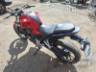 2023 HONDA CB 300F 