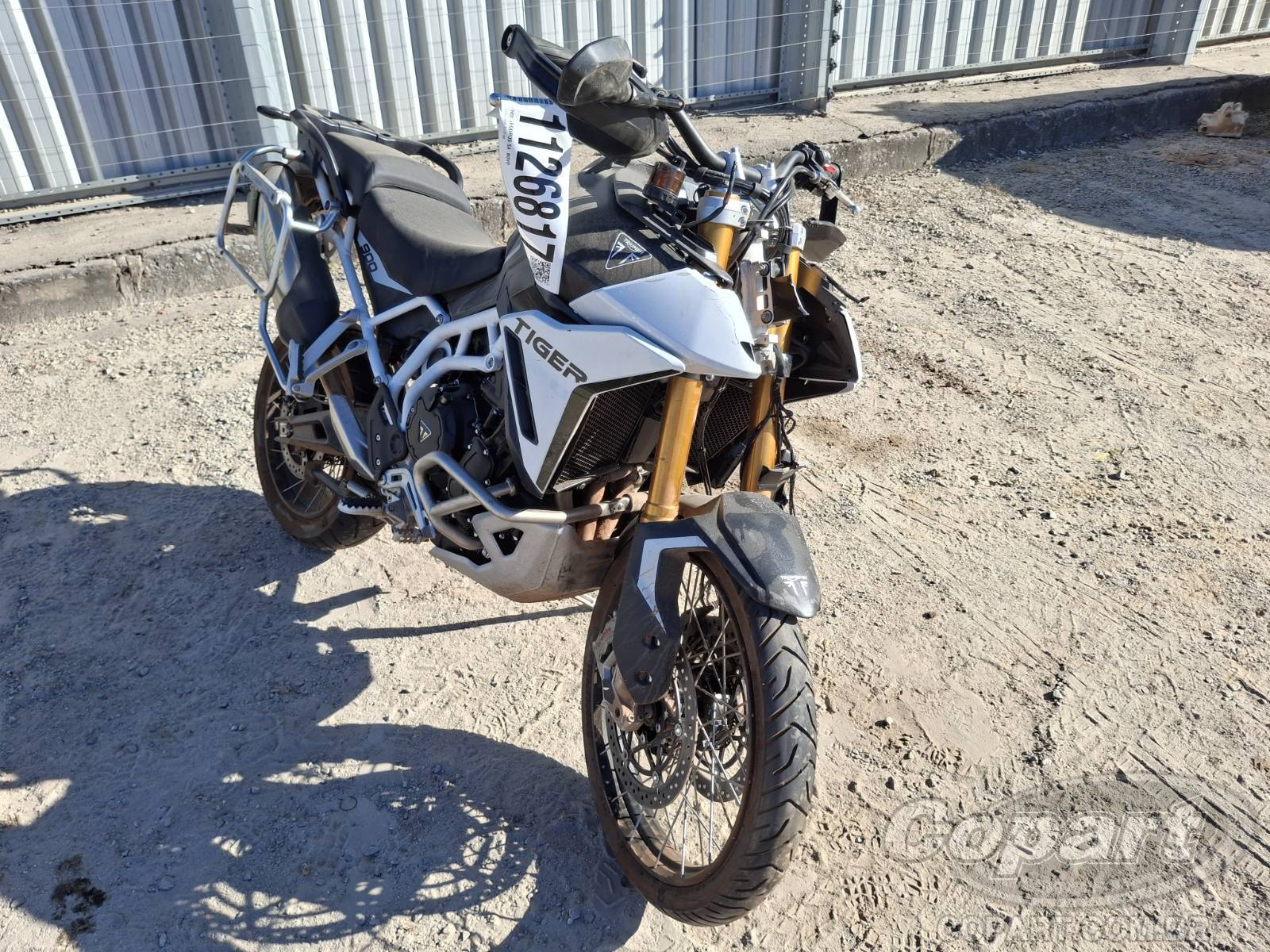 Veículo TRIUMPH Tiger Triumph Tiger 2026 Rally PRO 2026 em leilão