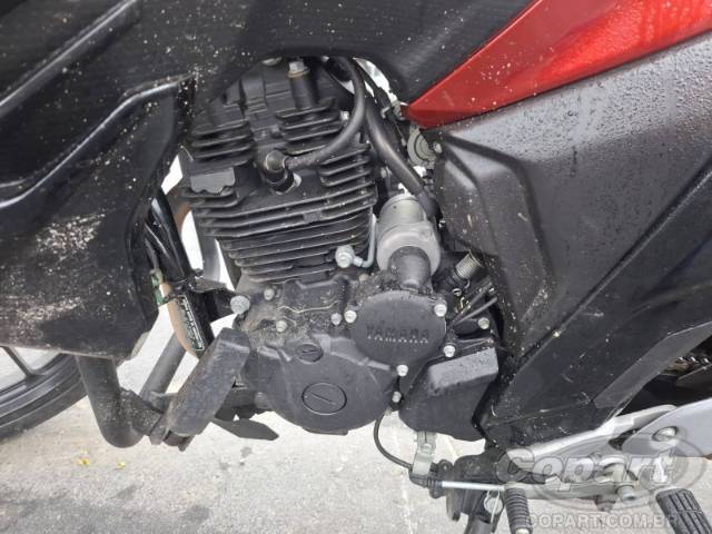 2024 YAMAHA FZ25 FAZER 