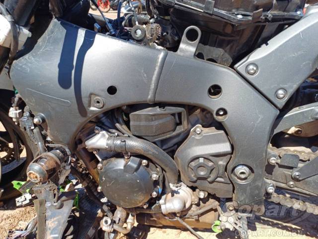 2024 KAWASAKI NINJA ZX-10R 