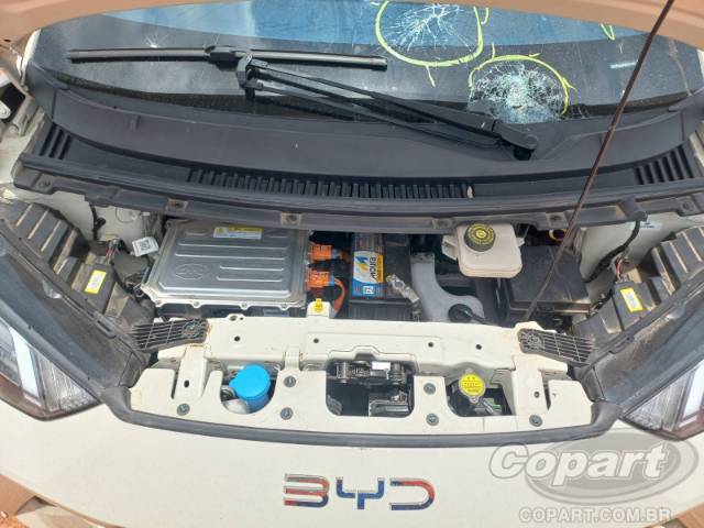 2025 BYD DOLPHIN MINI 