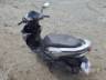 2024 HONDA ELITE 