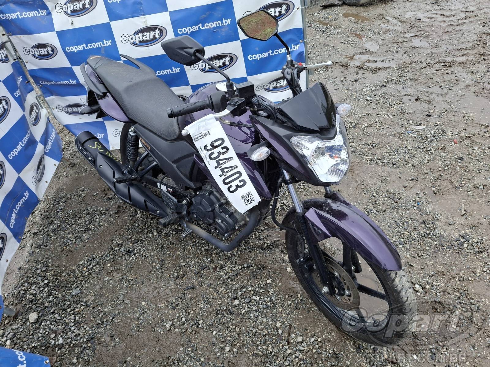 Veículo YAMAHA Fazer Yamaha FAZER 2024 2024 em leilão