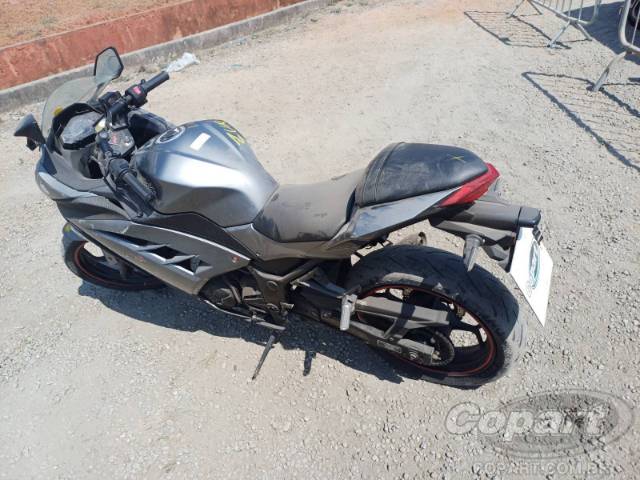 2014 KAWASAKI NINJA 300 