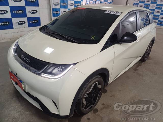 2025 BYD DOLPHIN 