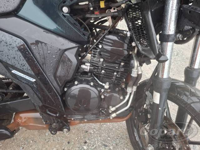 2024 YAMAHA FZ25 FAZER 