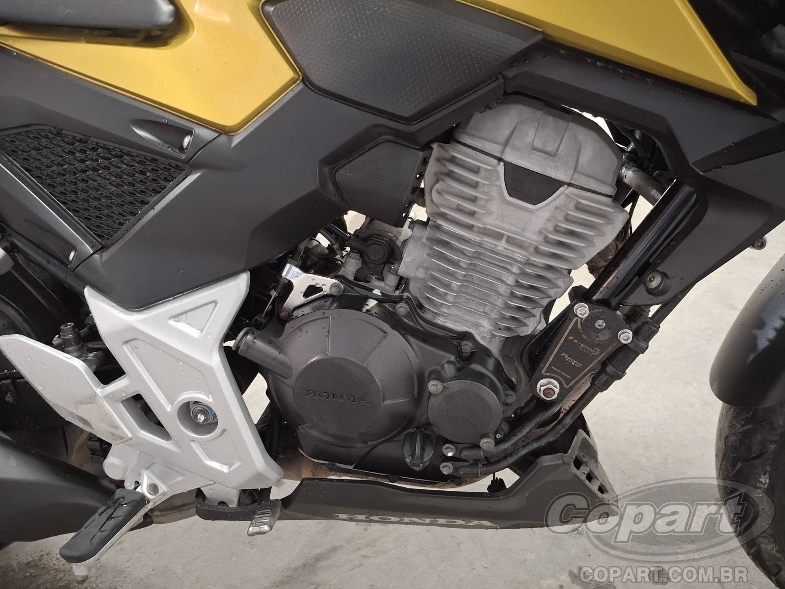 Foto 5: 2023 HONDA CB 300F