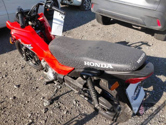 2026 HONDA POP 