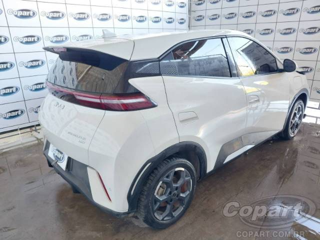 2026 BYD DOLPHIN MINI 