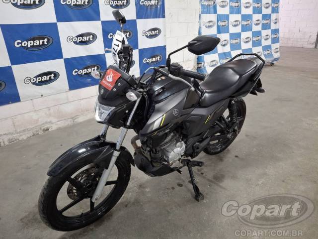 2025 YAMAHA FACTOR 