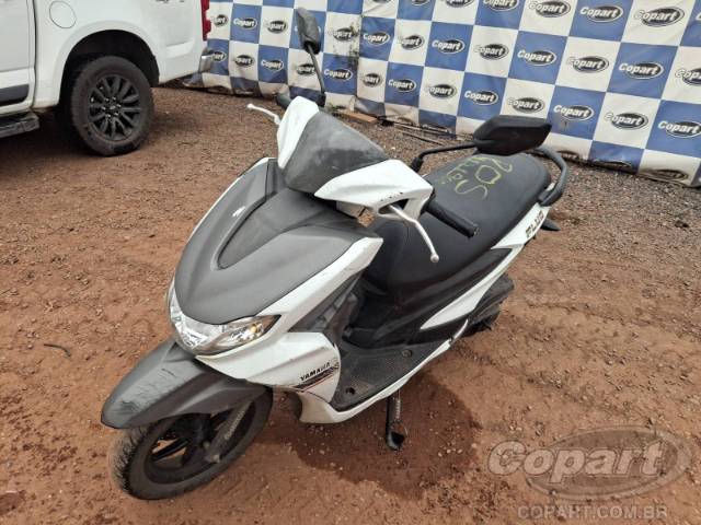 2023 YAMAHA FLUO 