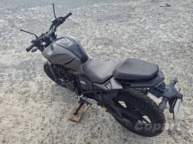 2024 YAMAHA FZ25 FAZER 