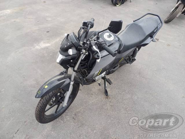 2025 YAMAHA FACTOR 