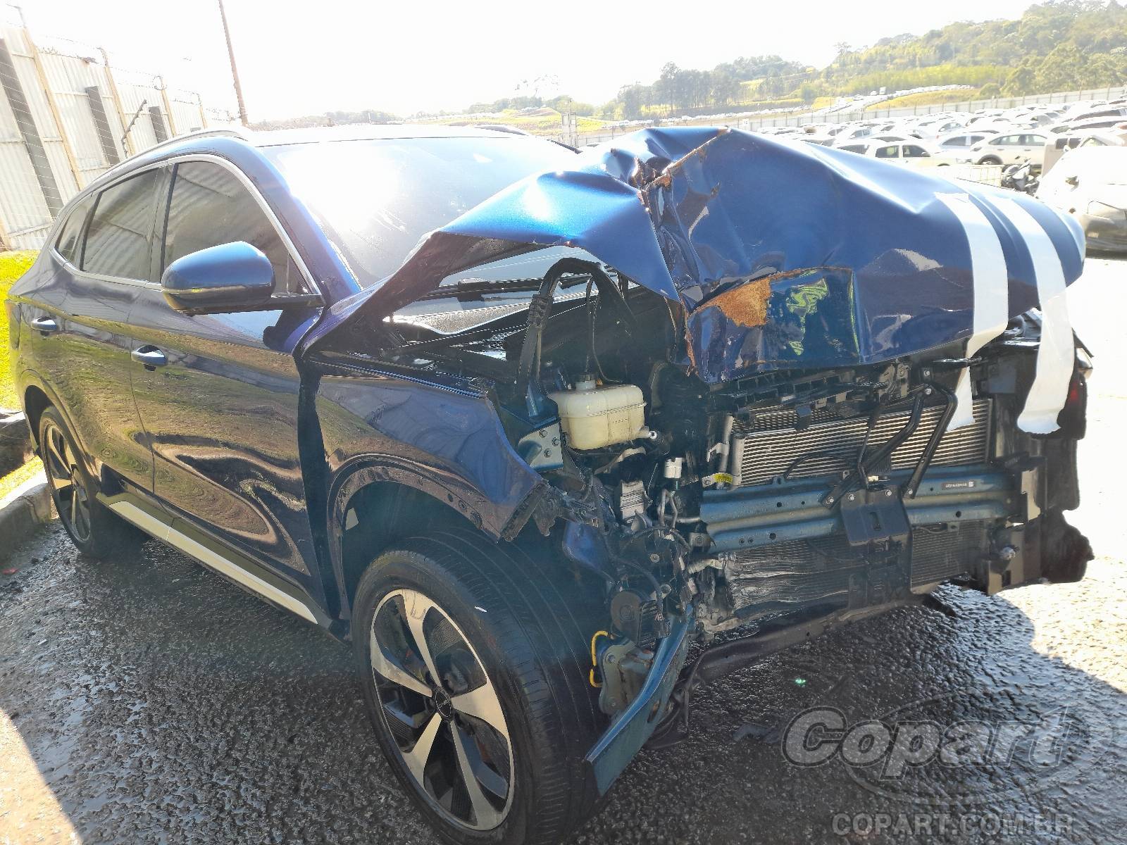 BYD SONG PLUS DM-i 1.5 16V 2024