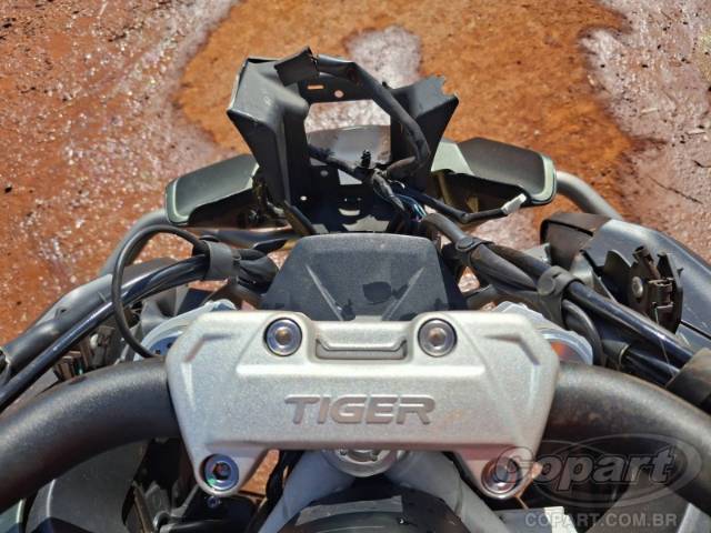 2024 TRIUMPH TIGER 