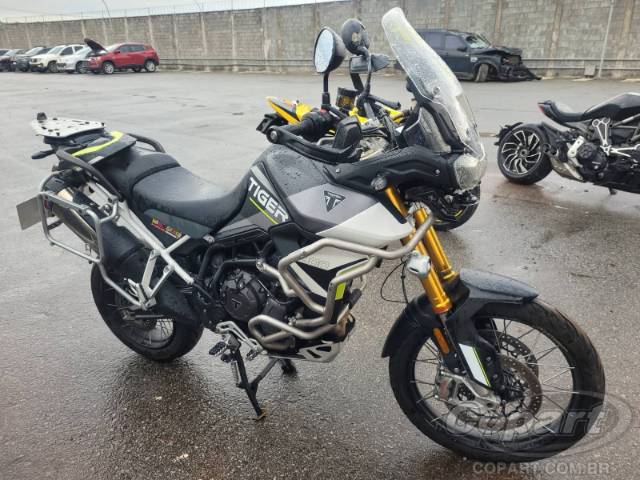 2024 TRIUMPH TIGER 