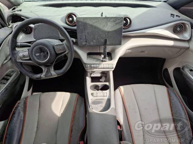 2024 BYD DOLPHIN 