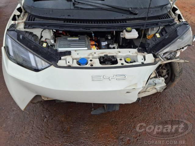 2025 BYD DOLPHIN MINI 