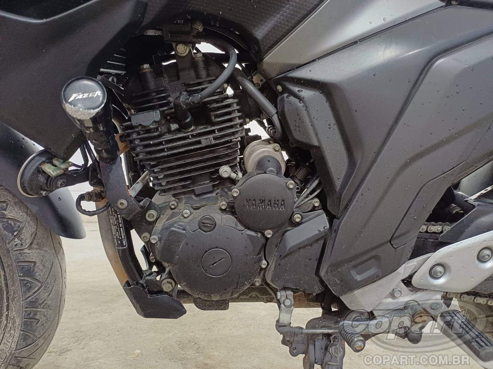 Foto 6 de 10: 2024 YAMAHA FZ25 FAZER