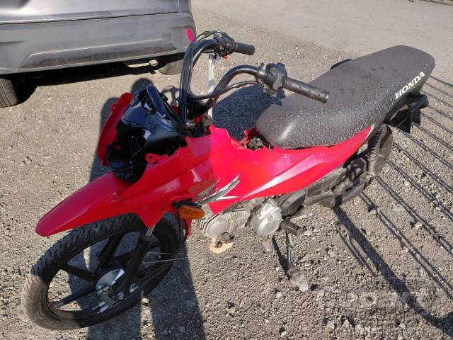 2026 HONDA POP 